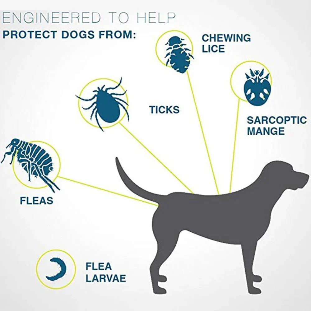 Guardian Paws 8-Month DefenderSupplies